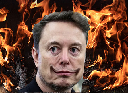 musk stoffer